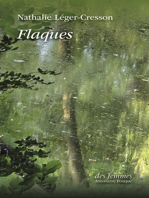 cover image of Flaques